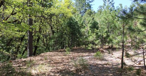 558 Brady Dr., Sierra City, CA 96125 Photo