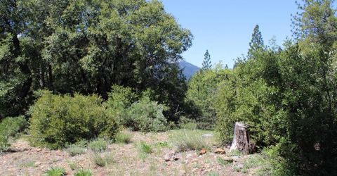 558 Brady Dr., Sierra City, CA 96125 Photo