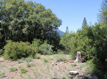 558 Brady Dr., Sierra City, CA 96125 Photo