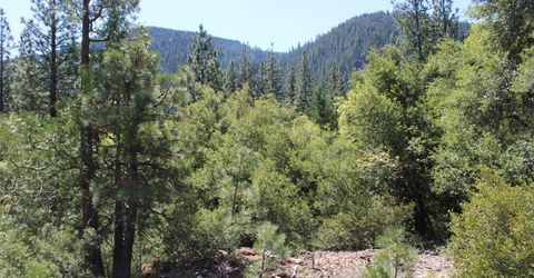 558 Brady Dr., Sierra City, CA 96125 Photo