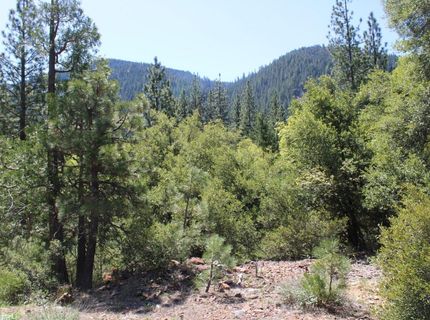 558 Brady Dr., Sierra City, CA 96125 Photo