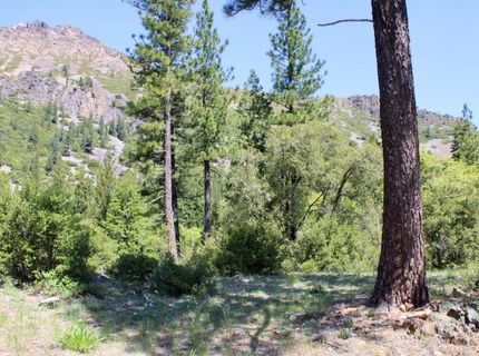 558 Brady Dr., Sierra City, CA 96125 Photo