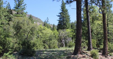 558 Brady Dr., Sierra City, CA 96125 Photo