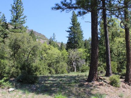 558 Brady Dr., Sierra City, CA 96125 Photo