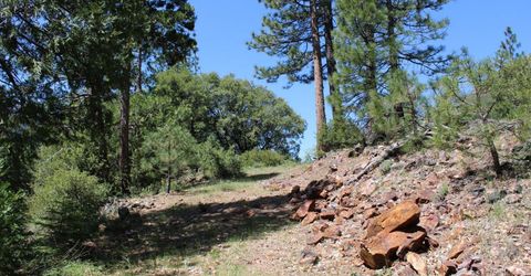 558 Brady Dr., Sierra City, CA 96125 Photo