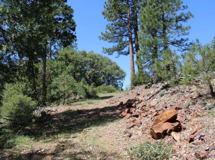 558 Brady Dr., Sierra City, CA 96125 Photo