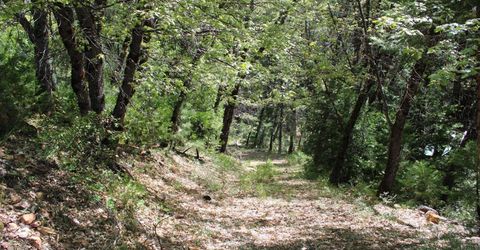 558 Brady Dr., Sierra City, CA 96125 Photo