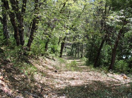 558 Brady Dr., Sierra City, CA 96125 Photo