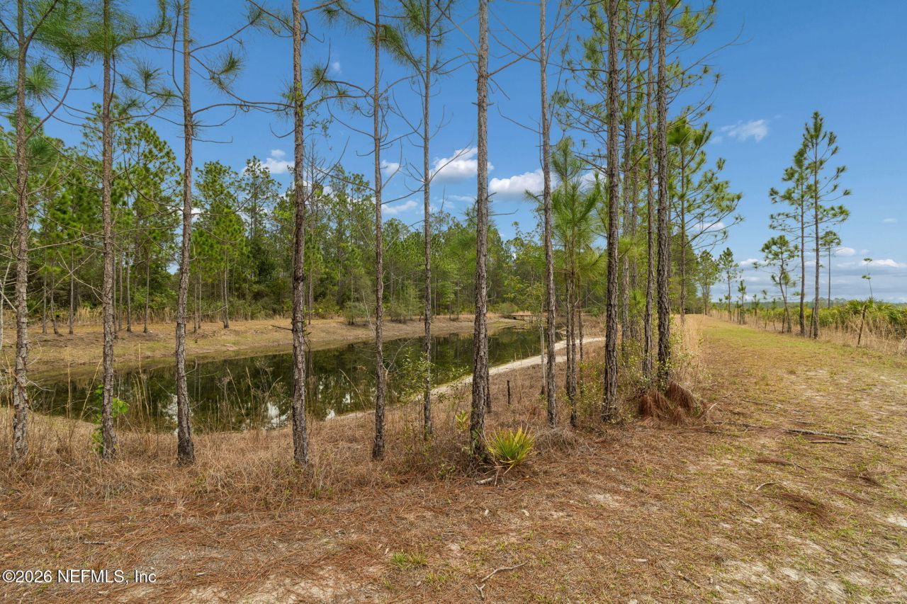 10293 Ford Road, Bryceville, FL 32009 Photo