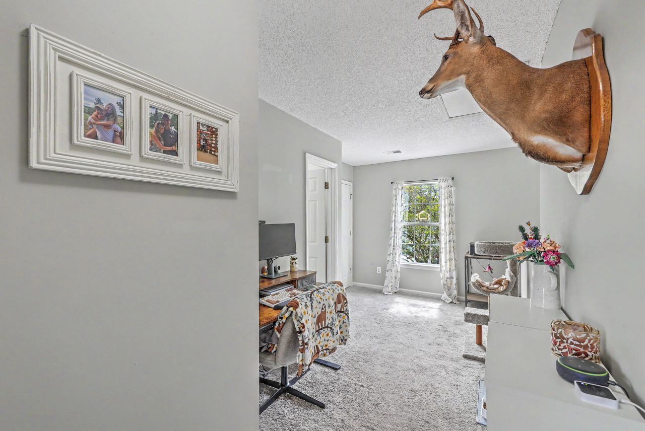 120 Tyron Road Photo 20