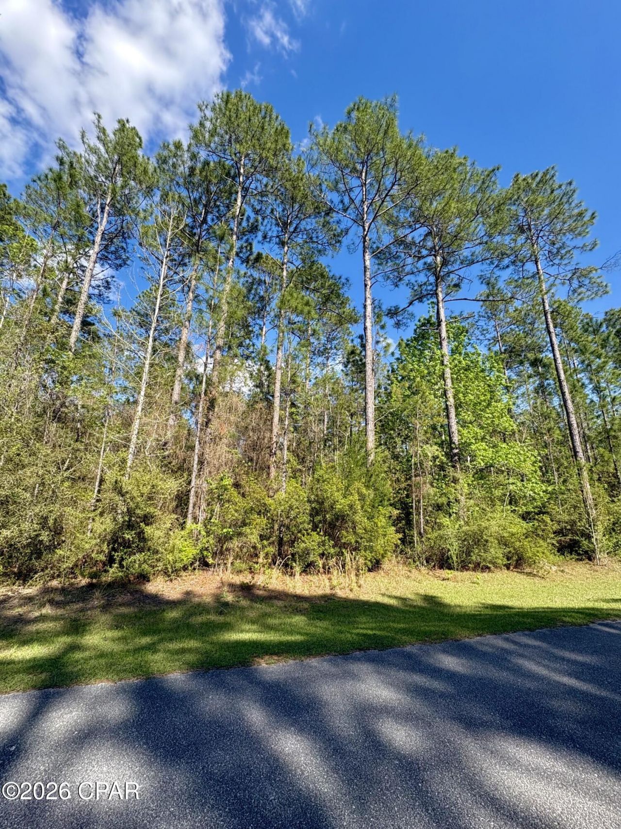 Lot 11 Cypress Crossing Road, Vernon, FL 32462 Main Photo