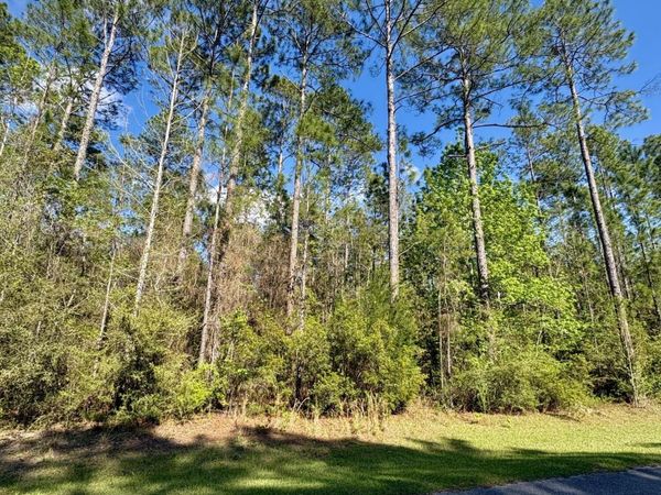 Lot 11 Cypress Crossing Road , Vernon, FL 32462