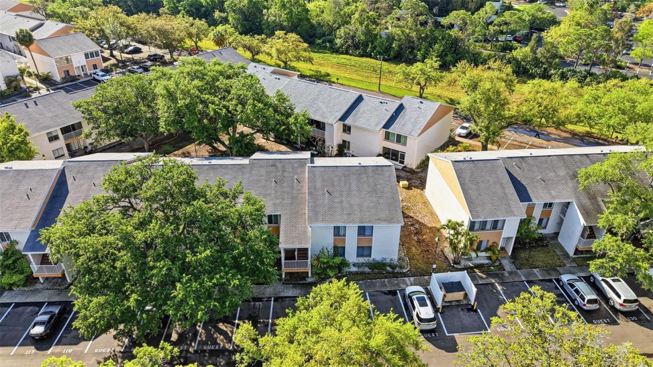 776 100th Avenue N, Unit 104, Saint Petersburg, FL 33702 Photo