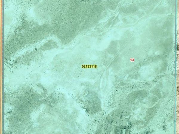 11545 S Spring Meadows Road, Amargosa Valley, NV 89020