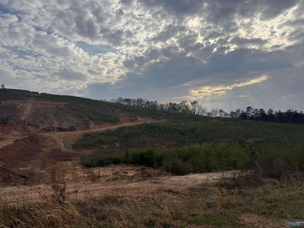 18+\- acres County Road 6, Piedmont, AL 36272