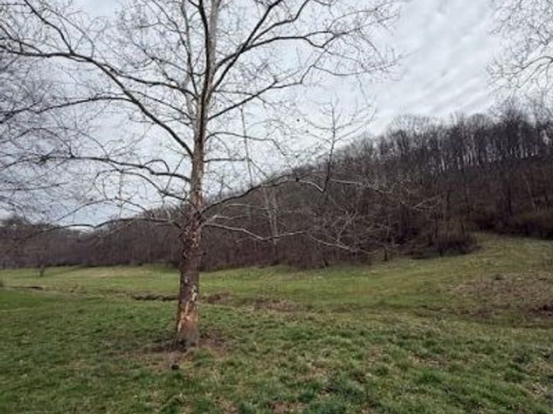 16714 Mush Run Road, Athens, OH 45701 Photo 13