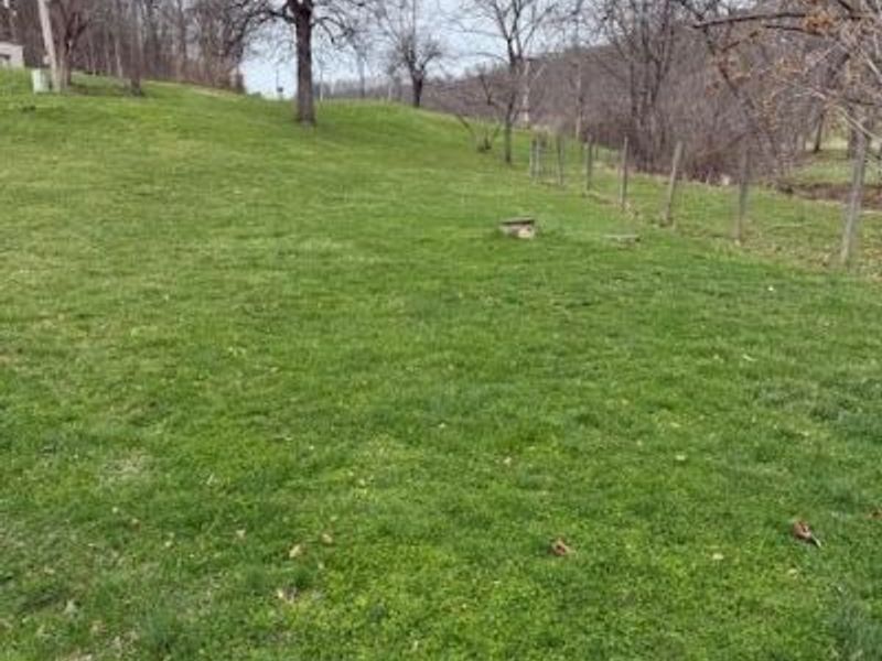 16714 Mush Run Road, Athens, OH 45701 Photo 3