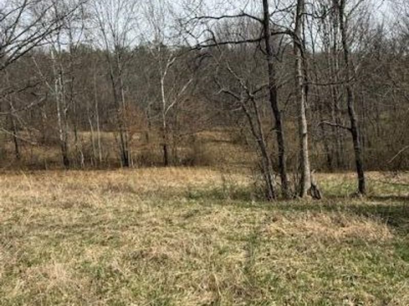 16714 Mush Run Road, Athens, OH 45701 Photo 4