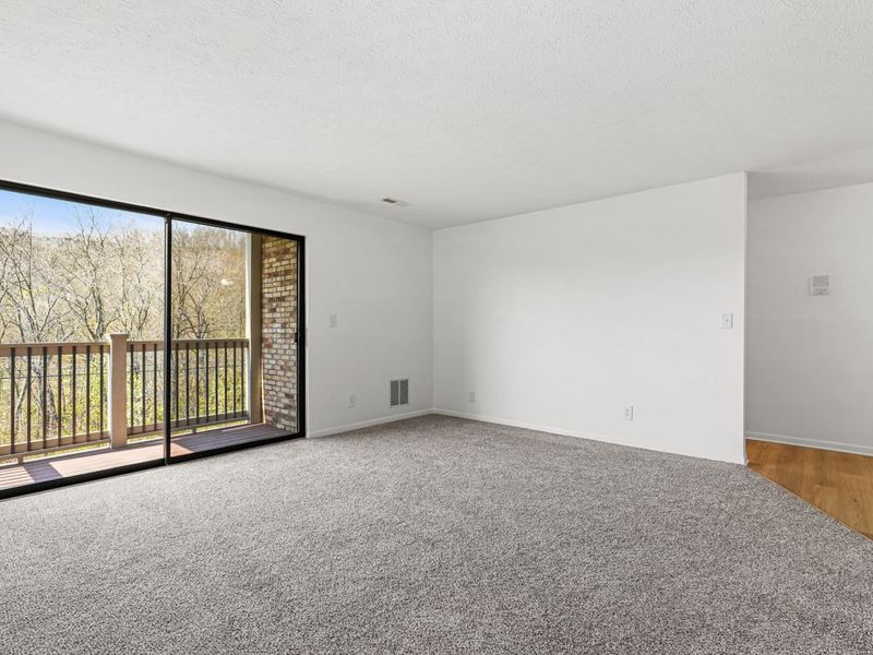 12 Woodland Hills Drive, Unit 6, Southgate, KY 41071 Photo 3