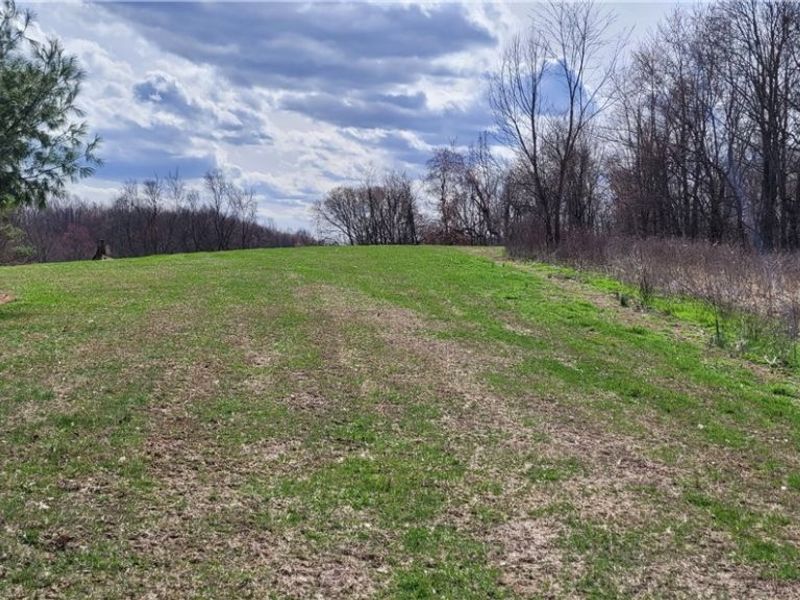 58547 Township Road 109, Kimbolton, OH 43749 Photo 13