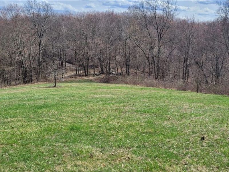 58547 Township Road 109, Kimbolton, OH 43749 Photo 20