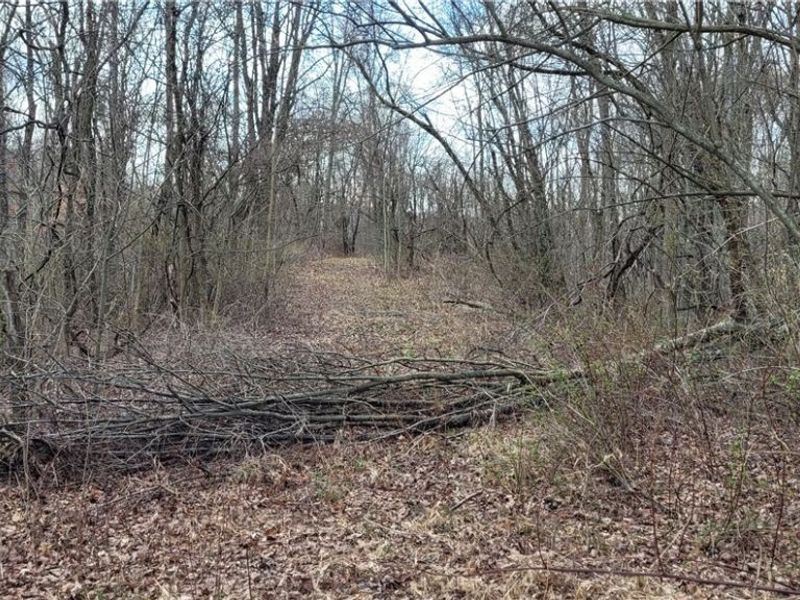 58547 Township Road 109, Kimbolton, OH 43749 Photo 22