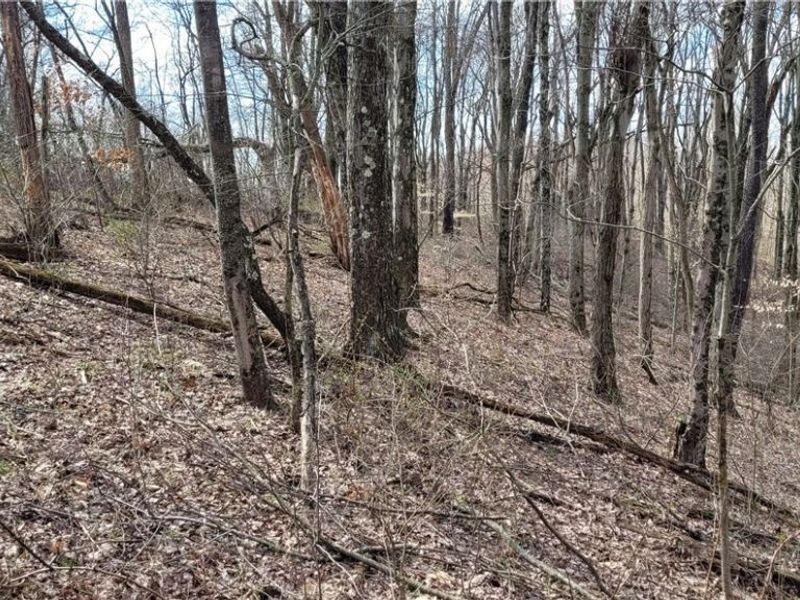 58547 Township Road 109, Kimbolton, OH 43749 Photo 24