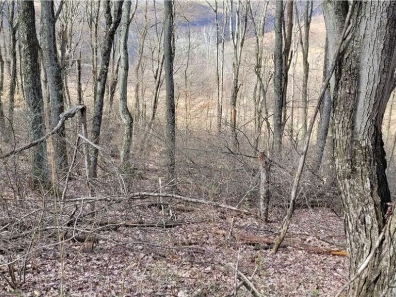 58547 Township Road 109, Kimbolton, OH 43749 Photo 25