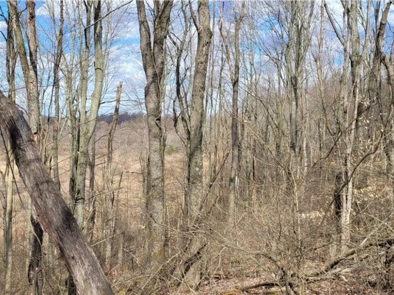 58547 Township Road 109, Kimbolton, OH 43749 Photo 26