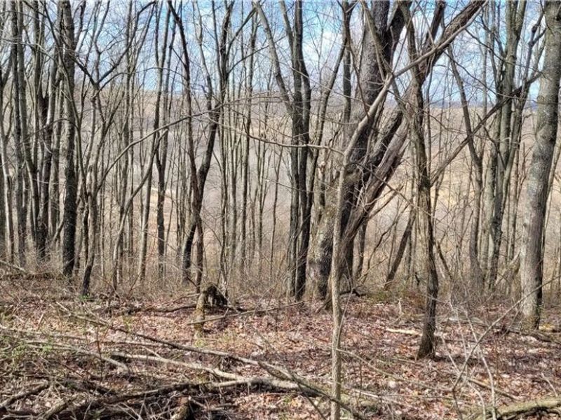 58547 Township Road 109, Kimbolton, OH 43749 Photo 28