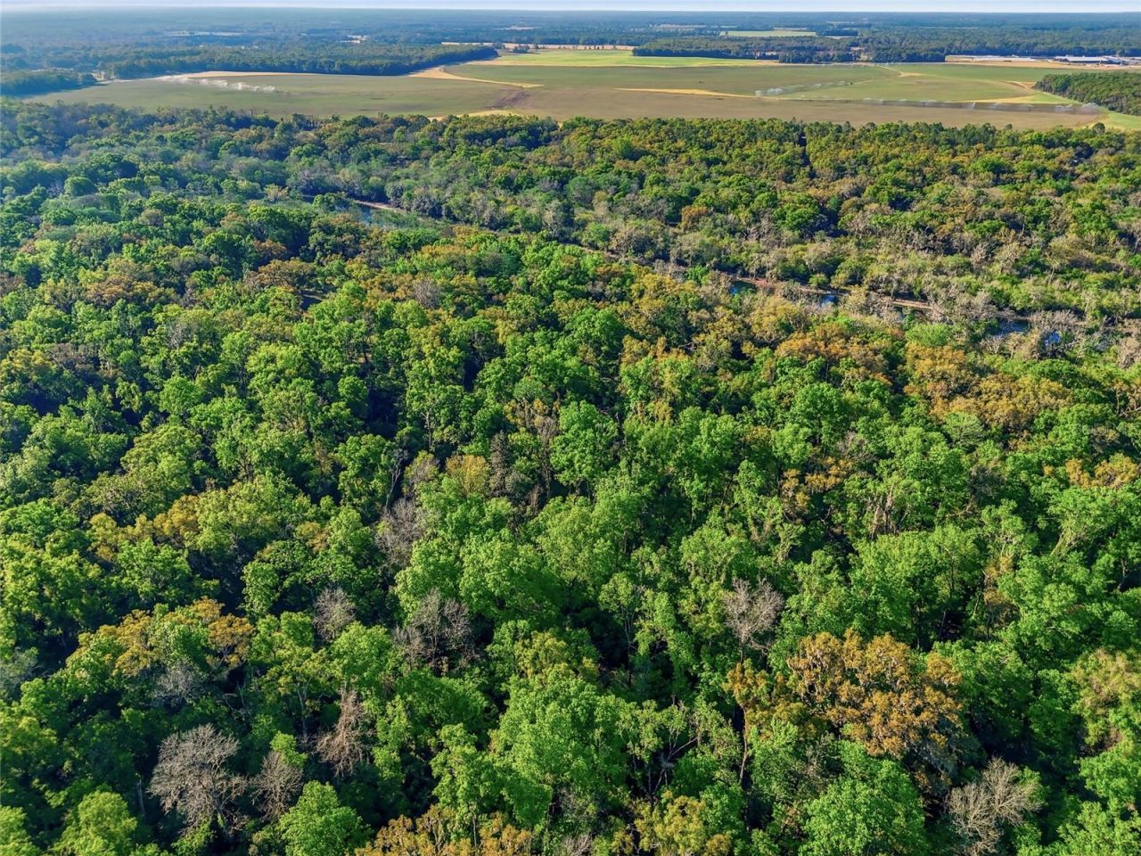 4941 River Run Road , Branford, FL 32008 Photo