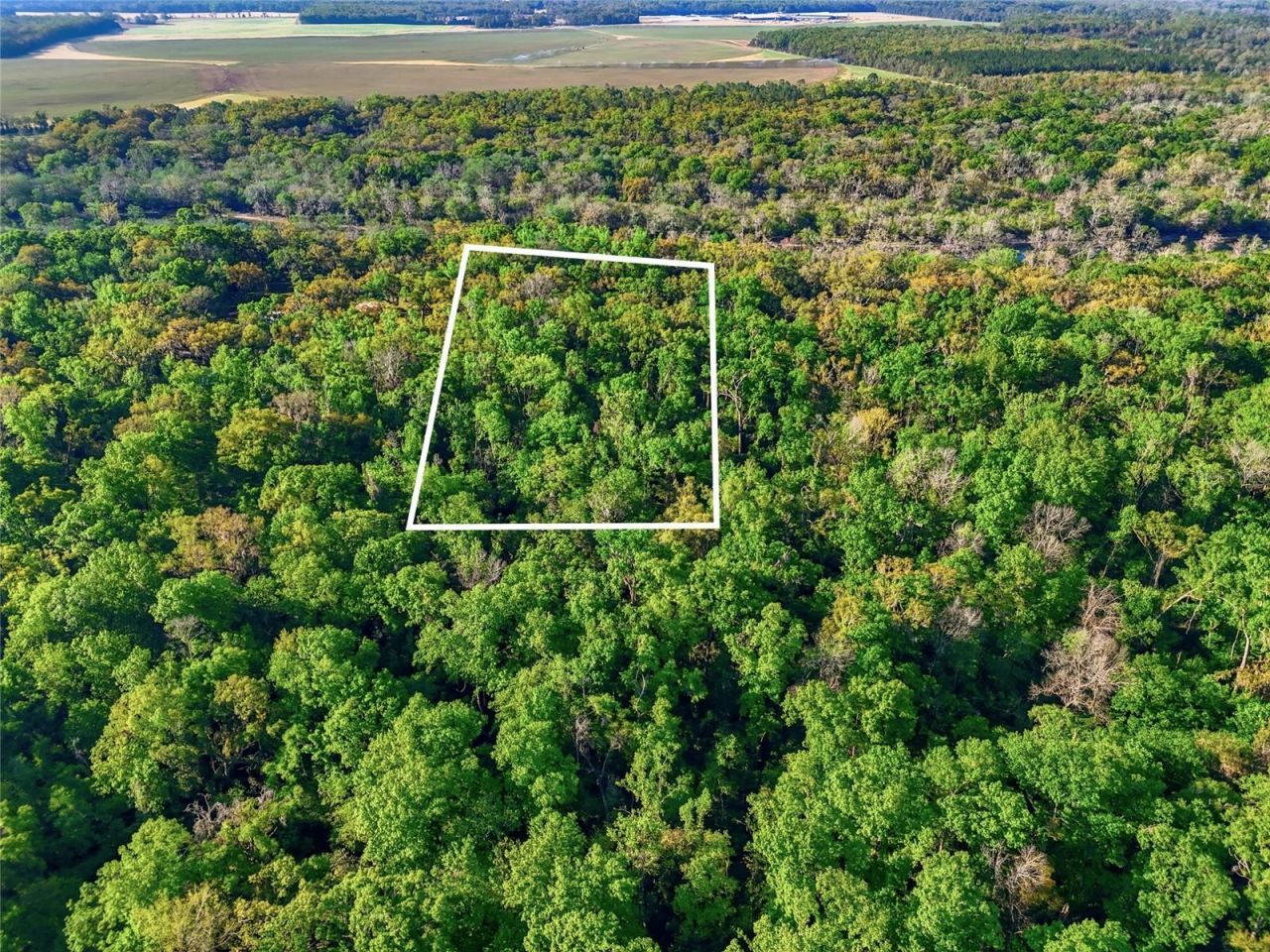 4941 River Run Road , Branford, FL 32008 Photo