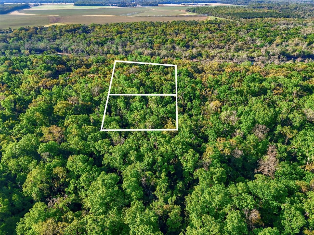 4941 River Run Road , Branford, FL 32008 Photo