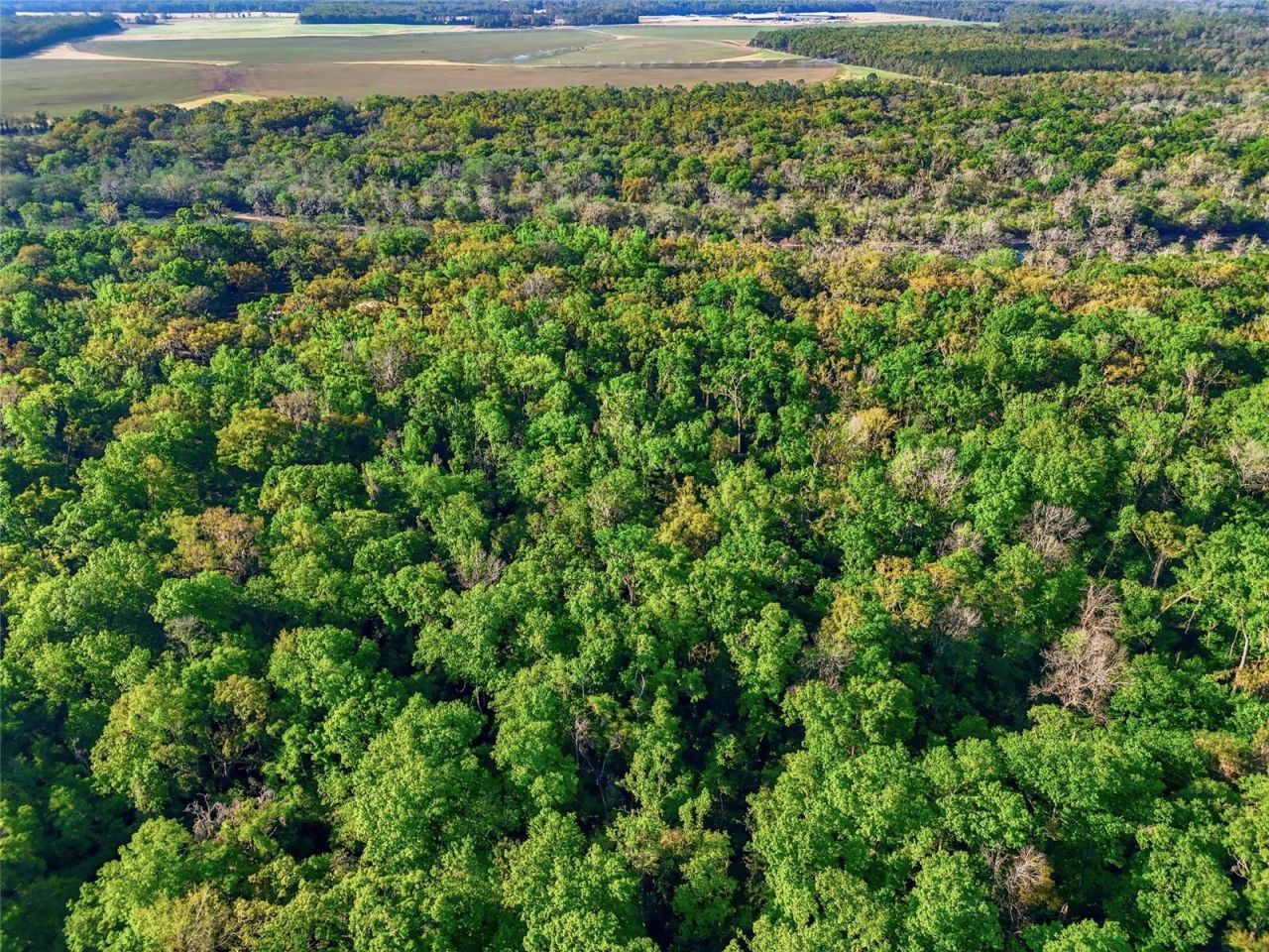 4941 River Run Road , Branford, FL 32008 Photo