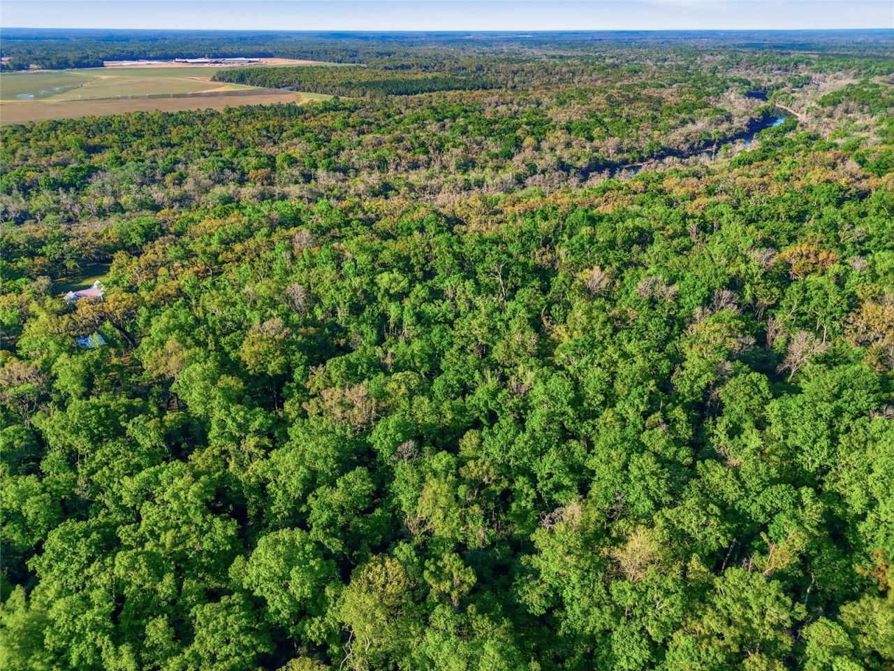 4941 River Run Road , Branford, FL 32008 Photo