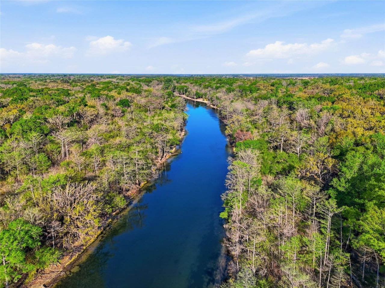 4941 River Run Road , Branford, FL 32008 Photo