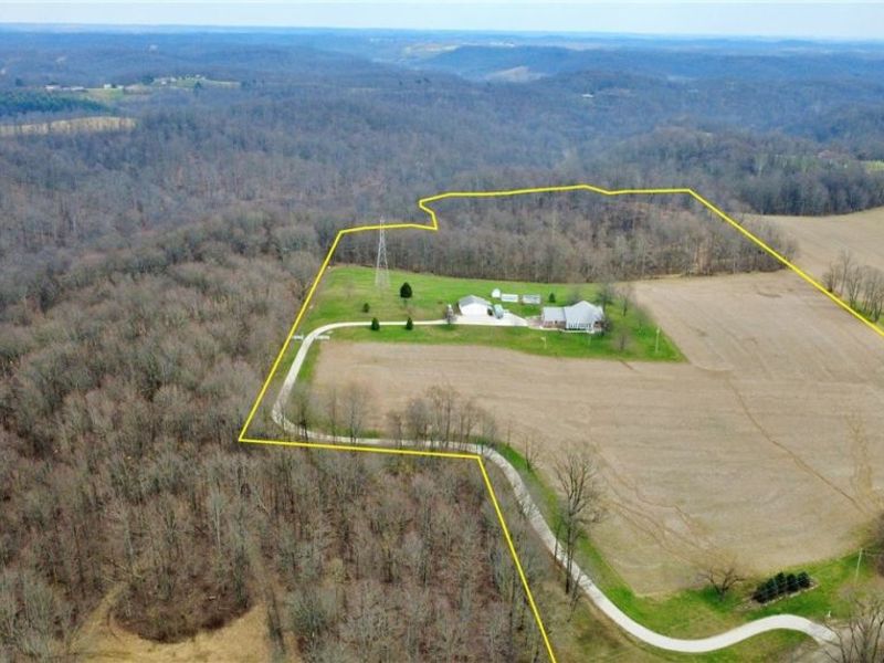 17437 Early Cemetary Road SW, Kimbolton, OH 43749 Photo 4