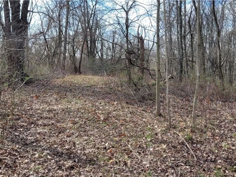 58547 Township Road 109, Kimbolton, OH 43749 Photo 13