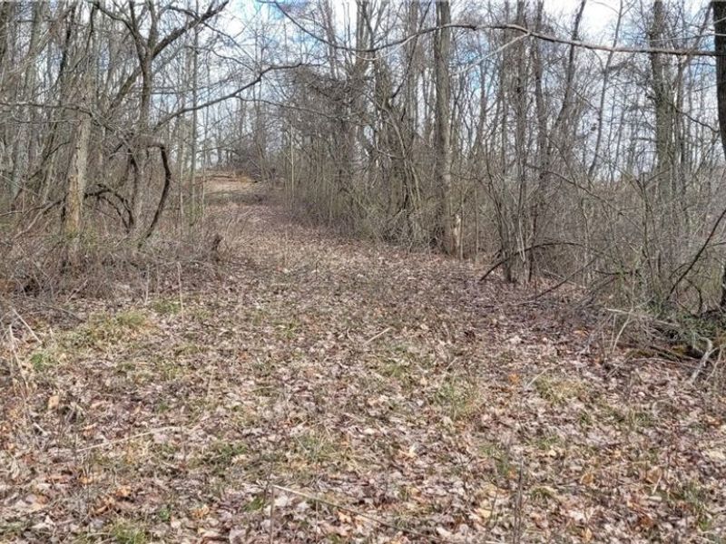 58547 Township Road 109, Kimbolton, OH 43749 Photo 17