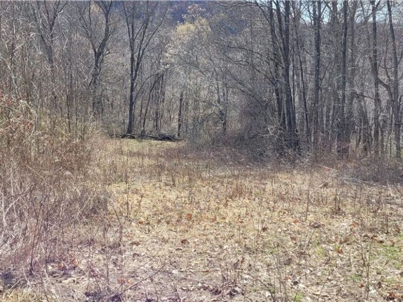 58547 Township Road 109, Kimbolton, OH 43749 Photo 19