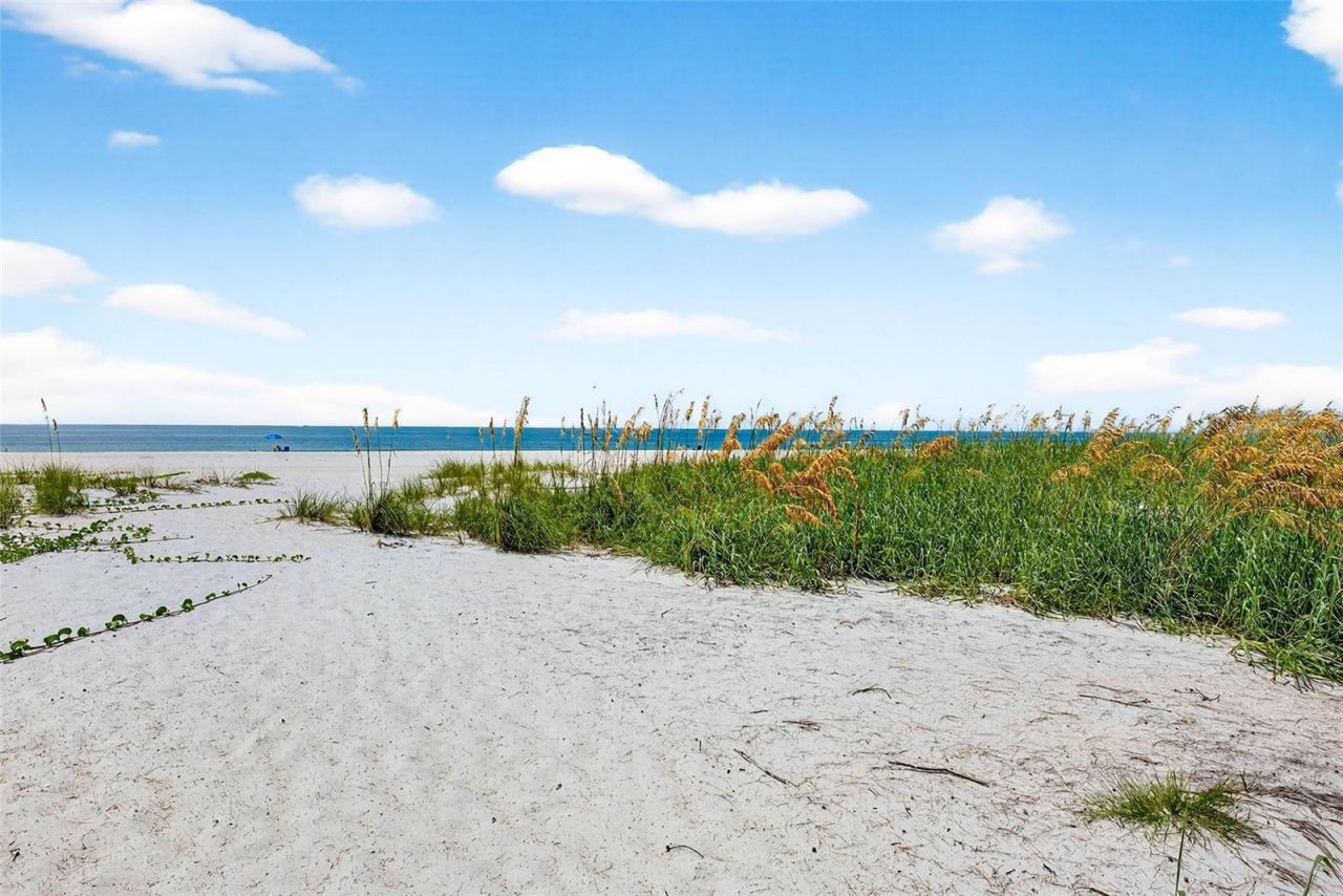 6019 8th Avenue N, Saint Petersburg, FL 33710 Photo