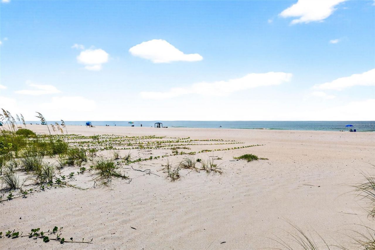 6019 8th Avenue N, Saint Petersburg, FL 33710 Photo