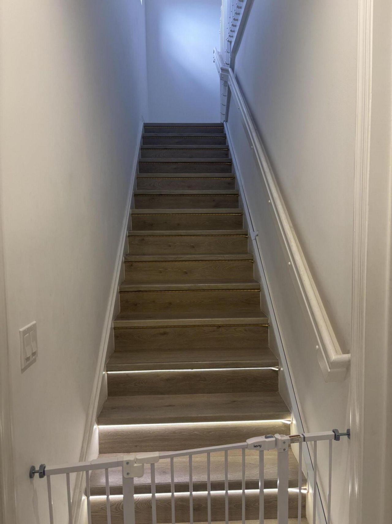 4834 Sand Dollar Drive, The Acreage, FL 33470 Photo