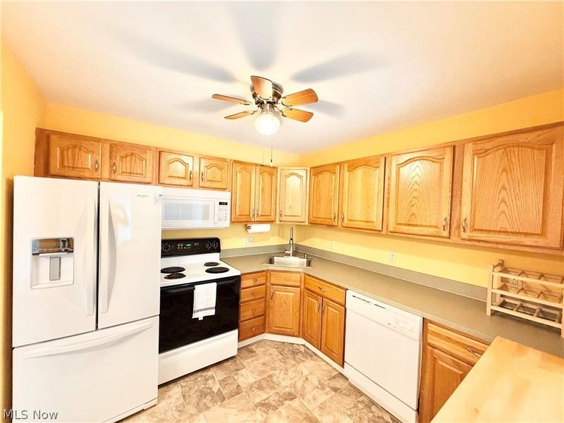 719 Gold Leaf Court, Streetsboro, OH 44241 Photo 4