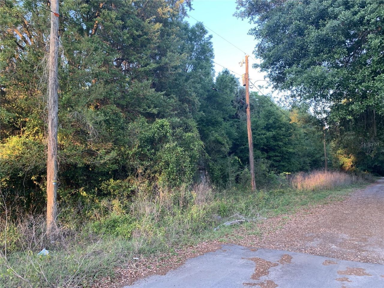 18111 N Us Hwy 301, Citra, FL 32113 Photo