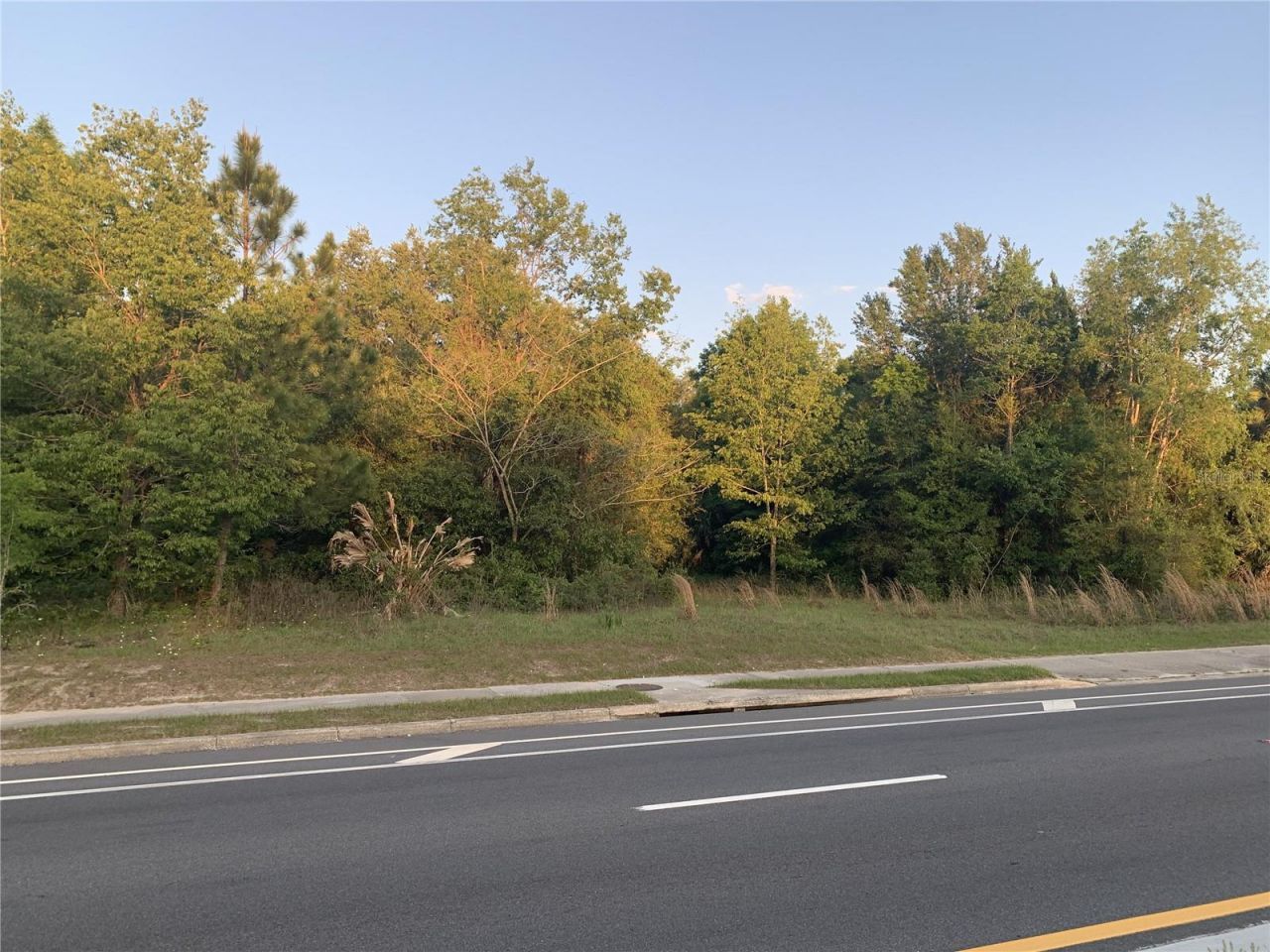 18111 N Us Hwy 301, Citra, FL 32113 Photo