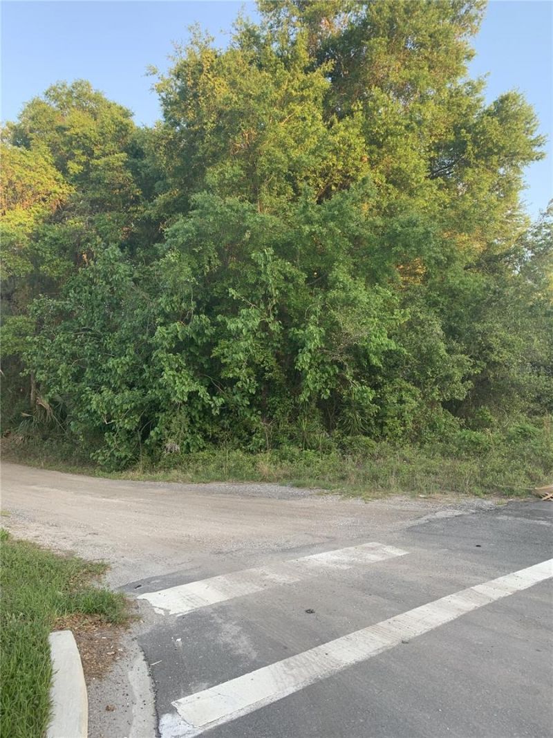 18111 N Us Hwy 301, Citra, FL 32113 Photo