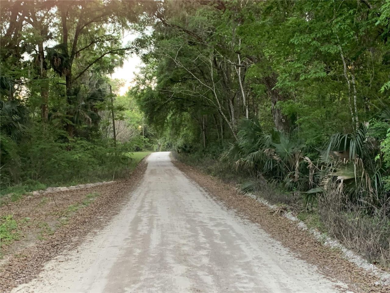 18111 N Us Hwy 301, Citra, FL 32113 Photo