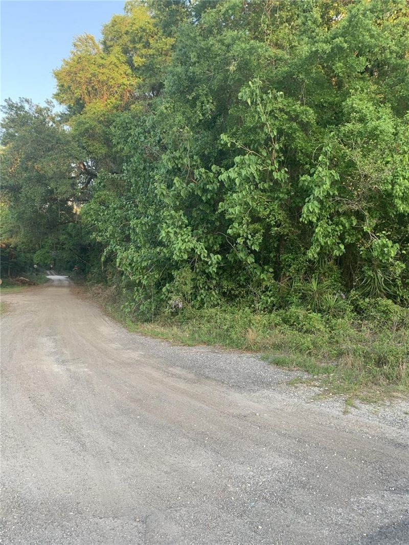 18111 N Us Hwy 301, Citra, FL 32113 Photo