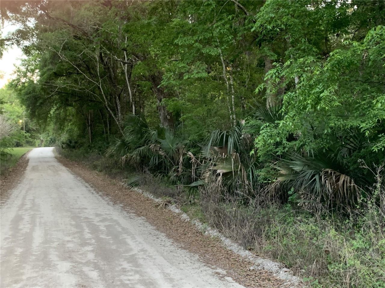 18111 N Us Hwy 301, Citra, FL 32113 Photo